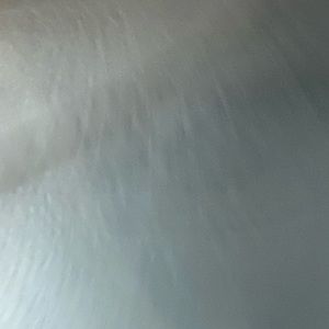 Meet your Posher, Allie